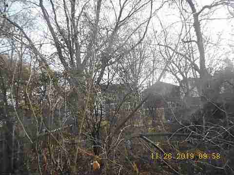 14248 Cruse (4)_m.jpg